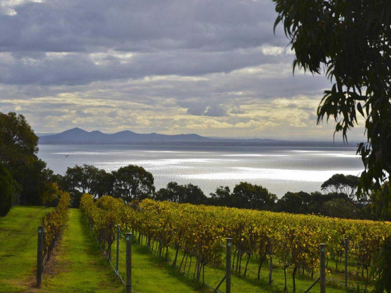 holiday rentals bellarine peninsula