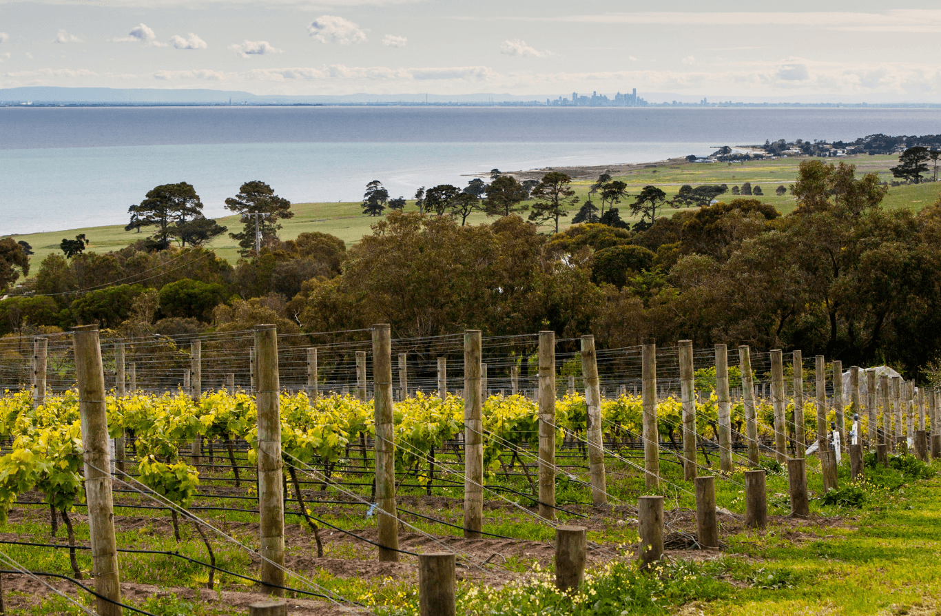 Bellarine Peninsula